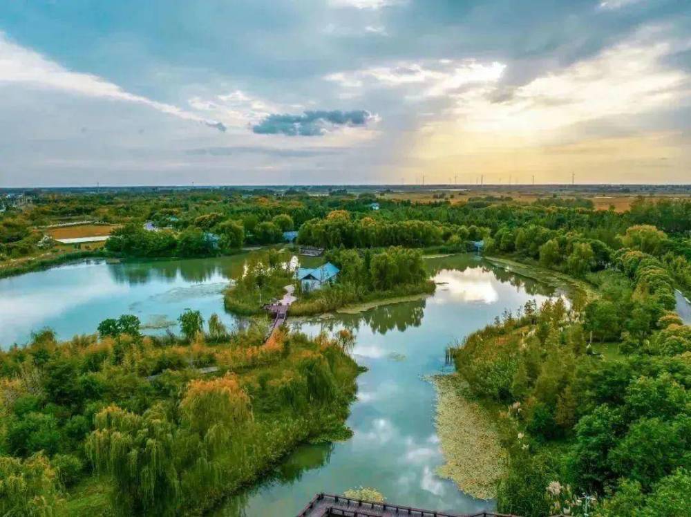 湿地,让盐城告诉世界_腾讯新闻