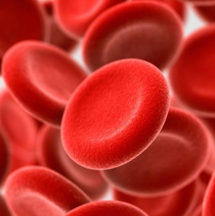 世界首例人造红细胞用于人体试验改善稀有血型患者治疗