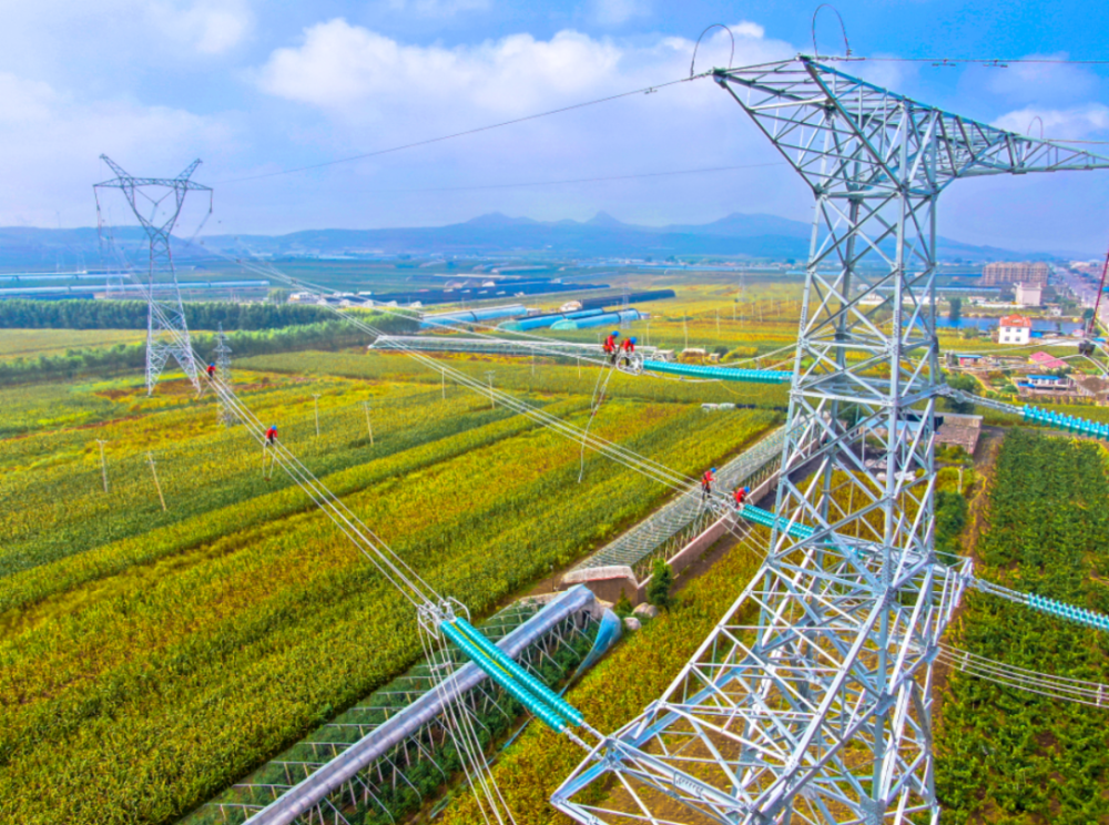拥有辽宁红沿河核电站,大连液流电池储能调峰电站,大连庄河