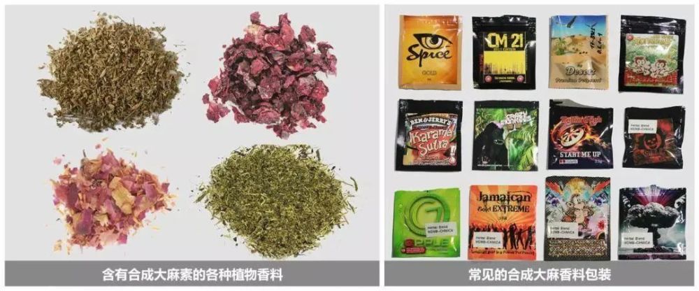 煲汤（煲汤 文案） 第3张