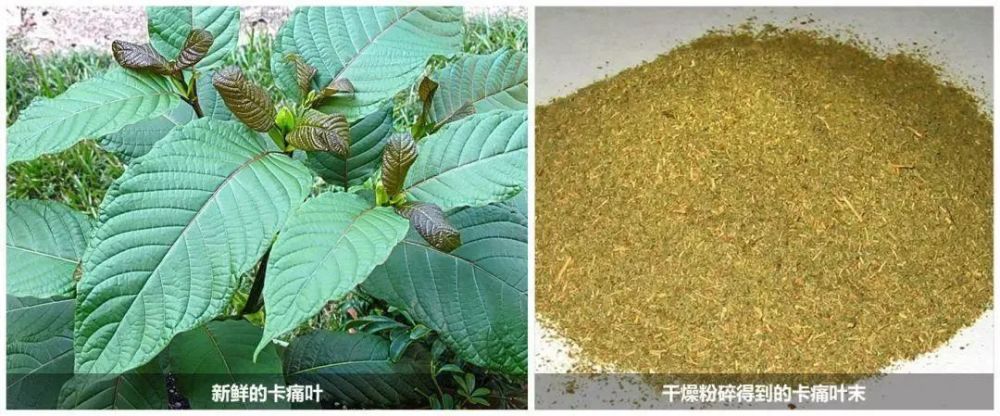 煲汤（煲汤 文案） 第4张