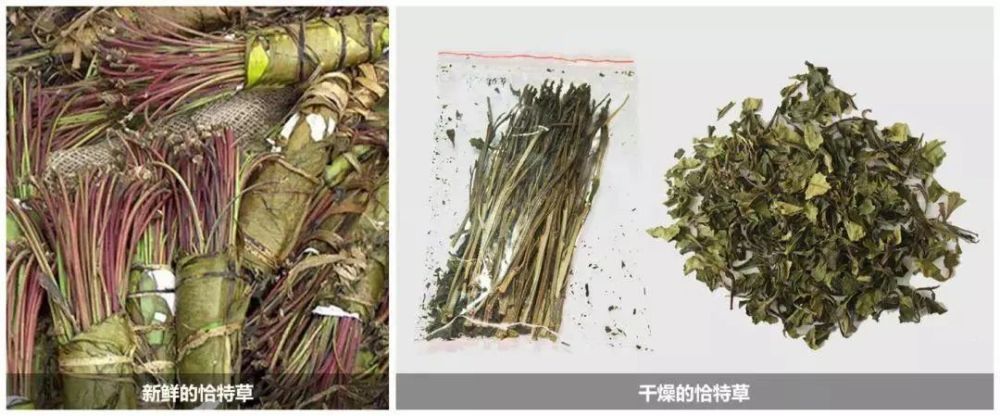 煲汤（煲汤 文案） 第5张