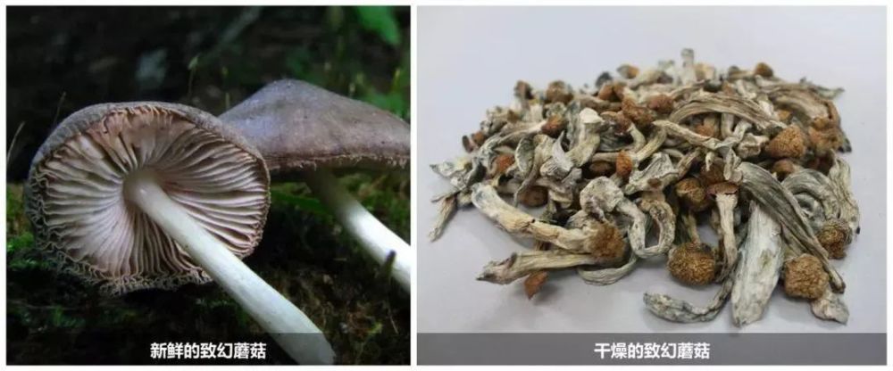 煲汤（煲汤 文案） 第6张