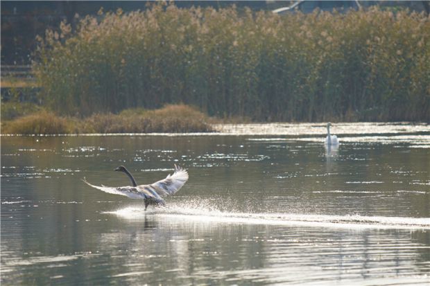 别跑空！北京多个公共场所关闭，涉婚姻登记中心、公园景区、商场等——