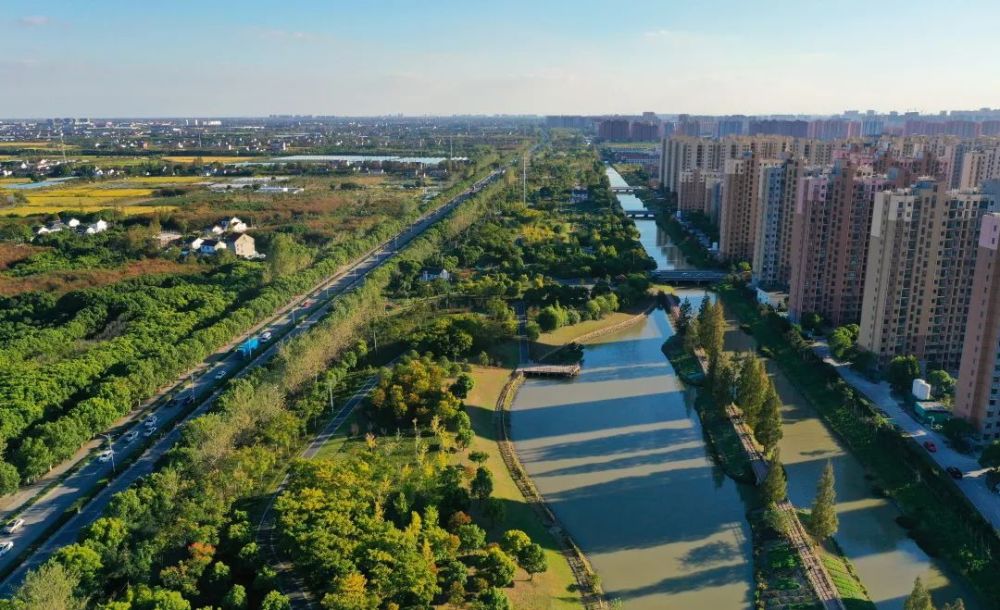 奉贤上海之鱼清澈碧绿新城美景等你来邂逅