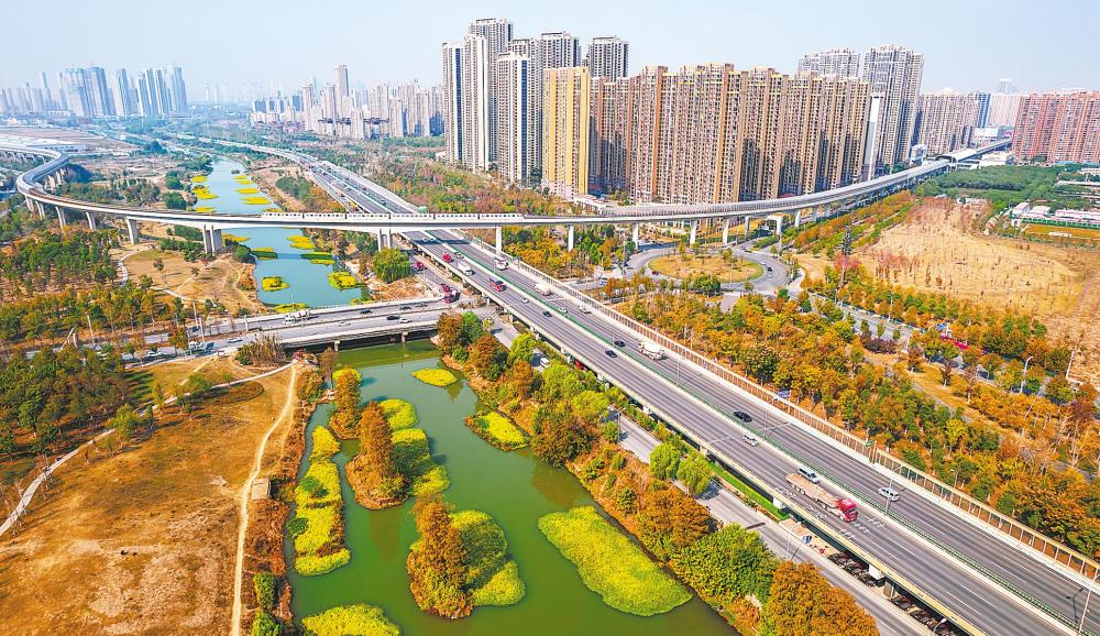 武汉青菱河变身湿地花园