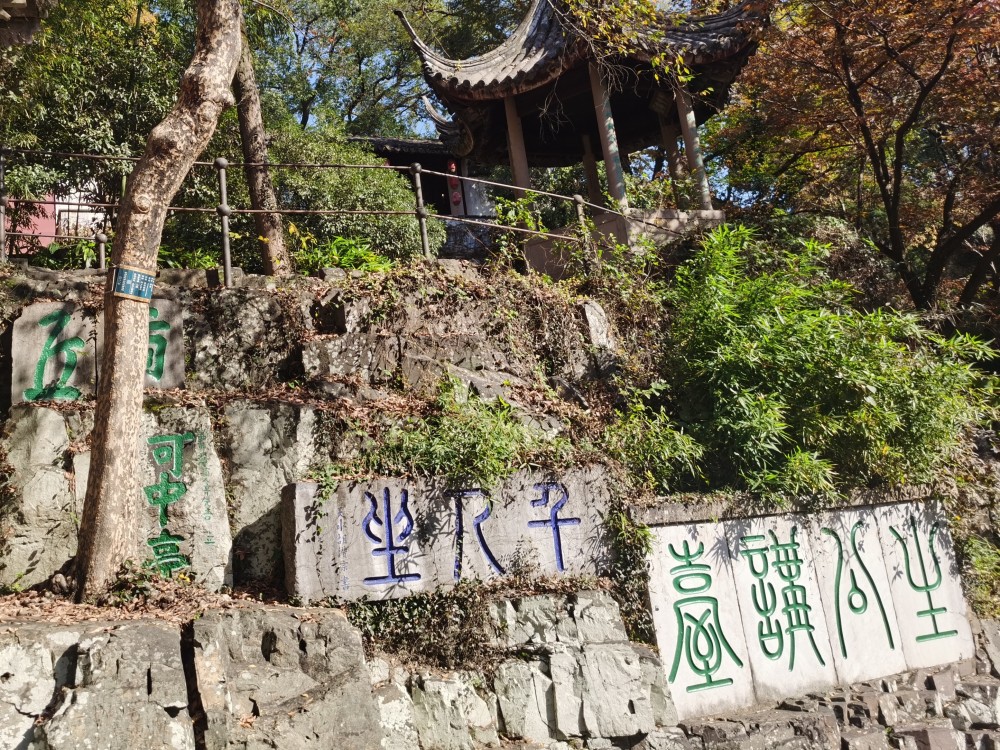 虎丘千人坐,高僧讲经,竟吸引了这么多的粉丝