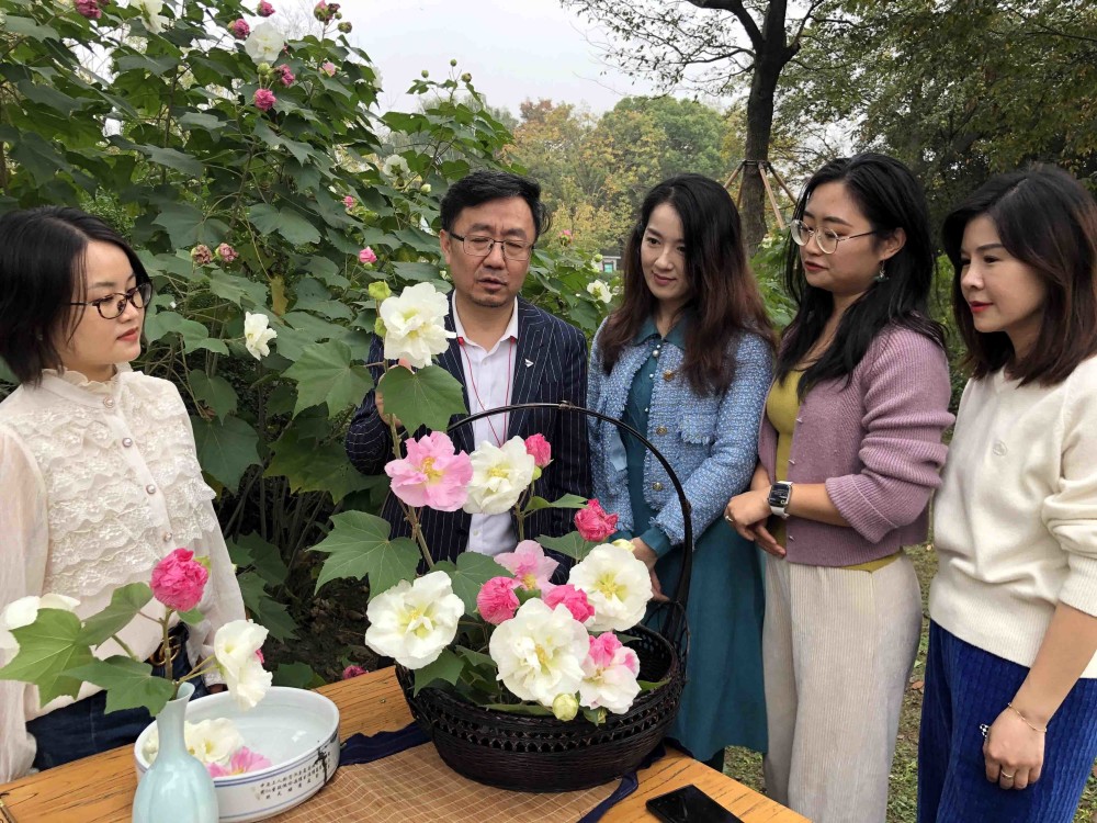 主持栏目:《阿万茶楼》(电台),《城市夜未央》(电台),《鉴宝》(电视).
