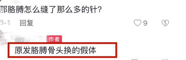 《小森林》的剧情平淡如水，为什么能得到9.0的高评分？