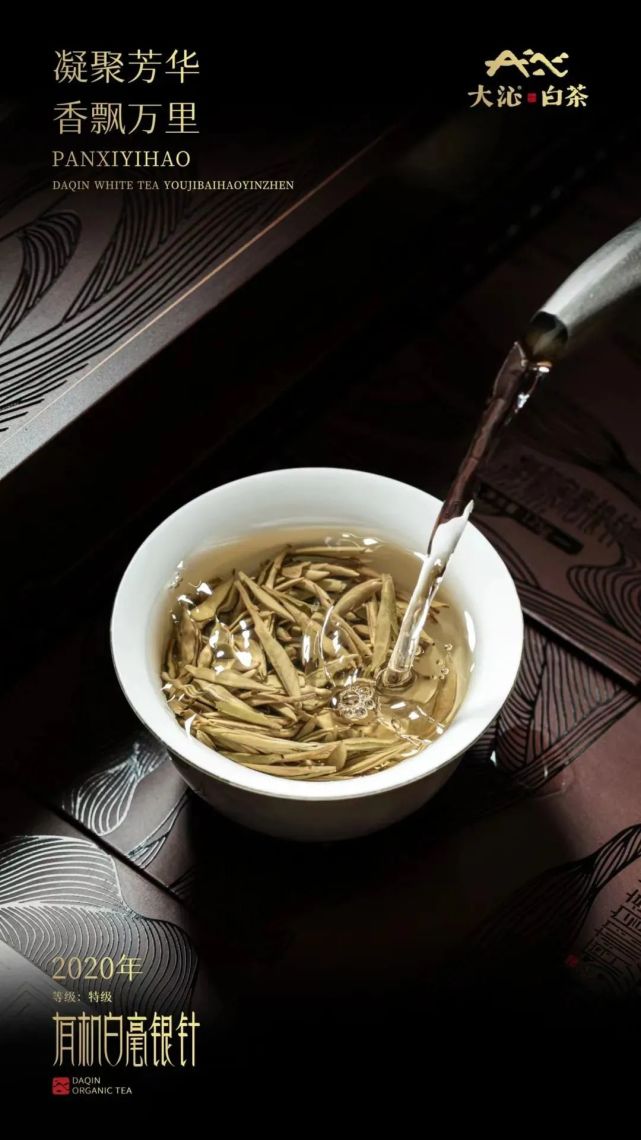 藏茶生金,时间赋予的白茶"秘密"等你来探寻