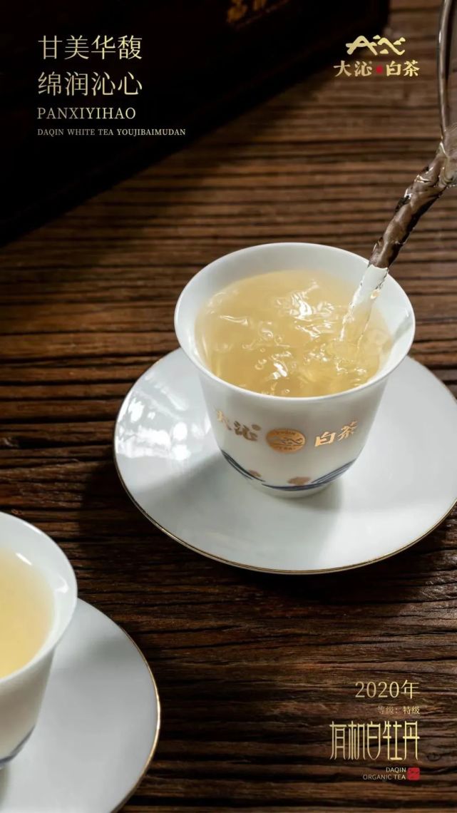 藏茶生金,时间赋予的白茶"秘密"等你来探寻