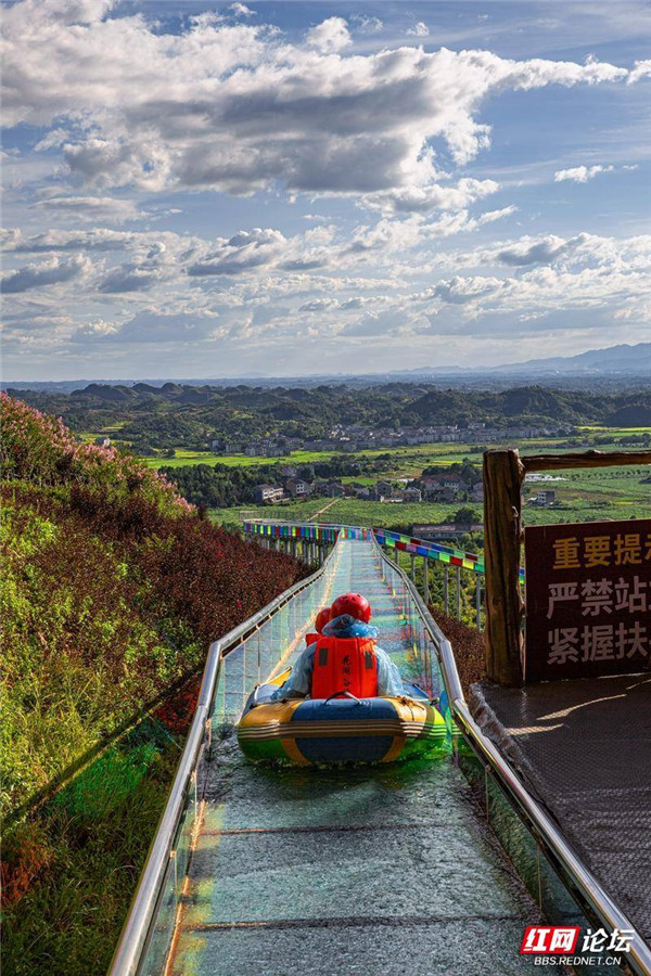 (供图:@勤奋向上)近日,在株洲市茶陵县万樟园林内拍了一组美图.