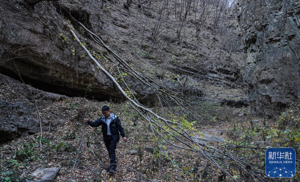 天富注册下载地址_午时普通用户试验区_午时普通用户试验区