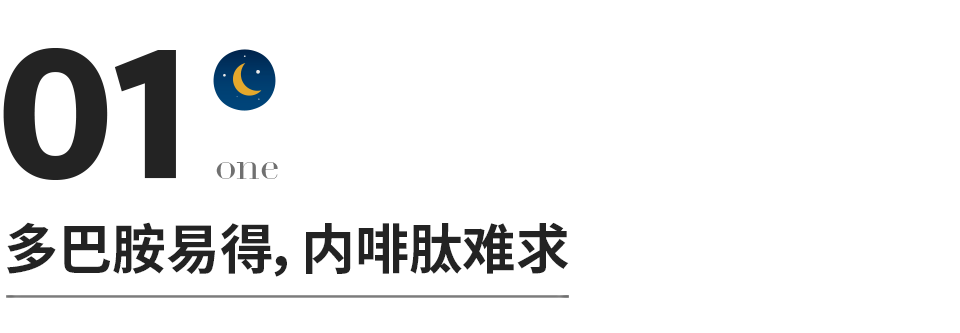 人到中年:遠離多巴胺,靠近內啡肽插圖