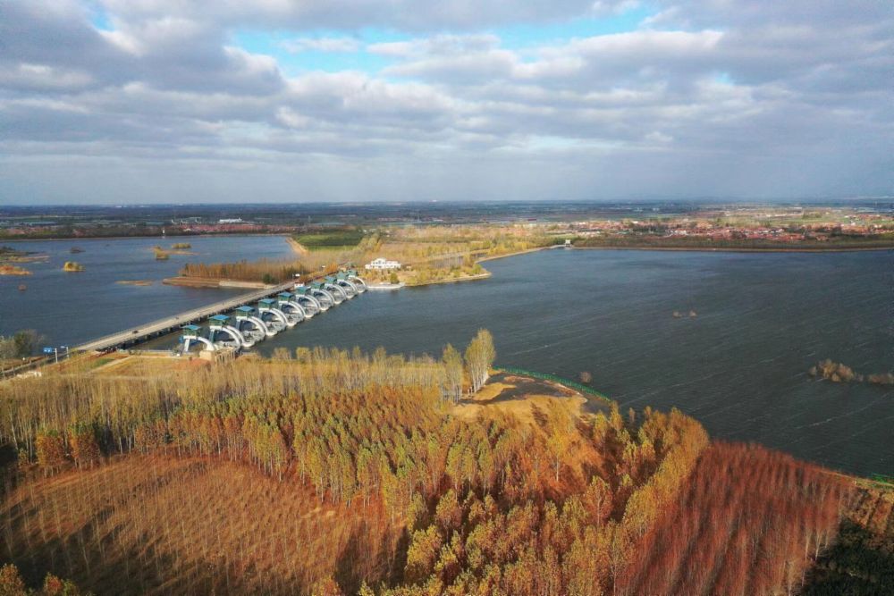 组图|即墨:生态大沽河 初冬美如画_腾讯新闻