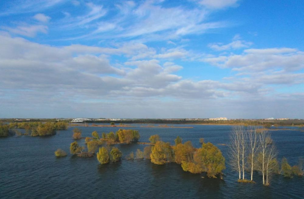 组图|即墨:生态大沽河 初冬美如画_腾讯新闻