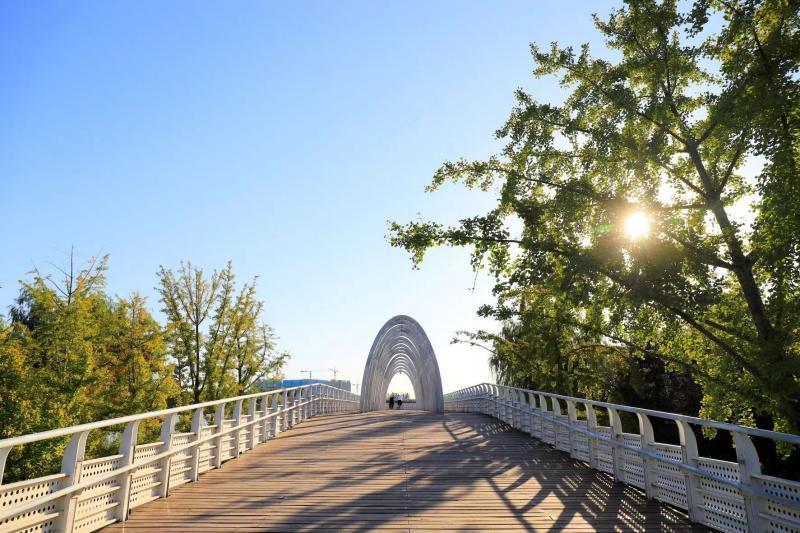 多起聚集性疫情涉及人员密集场所，北京市疾控提醒：疫情期间减少非必要外出中铁十局西南指挥部指挥长