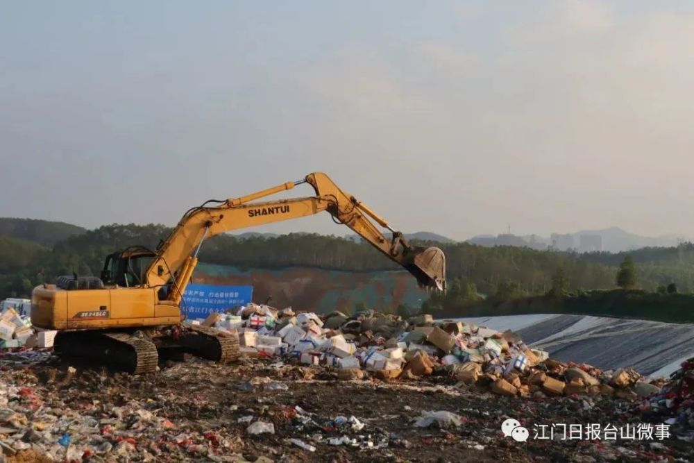 江门幼儿园排行榜_早教直通车,2018年广东江门早教排行榜强势出炉(2)