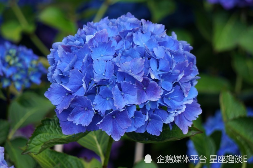 11月15日星座运势 成熟稳重 竭尽全力 不拘一格 腾讯新闻