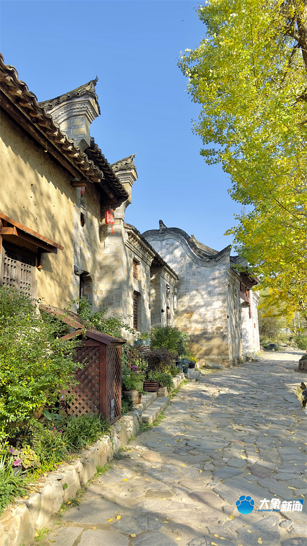 图集丨阳光是最好的滤镜在信阳新县的西河山水里感受静谧时光