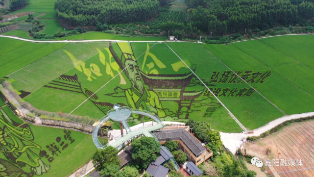 宾阳县古辣镇大陆村案例,横州市茉莉花产业带农振兴案例入选全球减贫