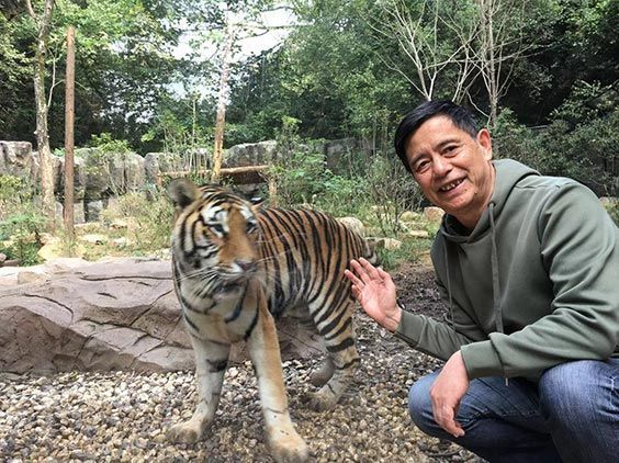 沈石溪:写动物小说怎么能避开丛林法则_腾讯新闻