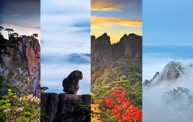 四季来黄山,看遍季节轮替,无论何时都不晚.
