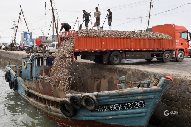 山东青岛:"海上粮仓"播种忙