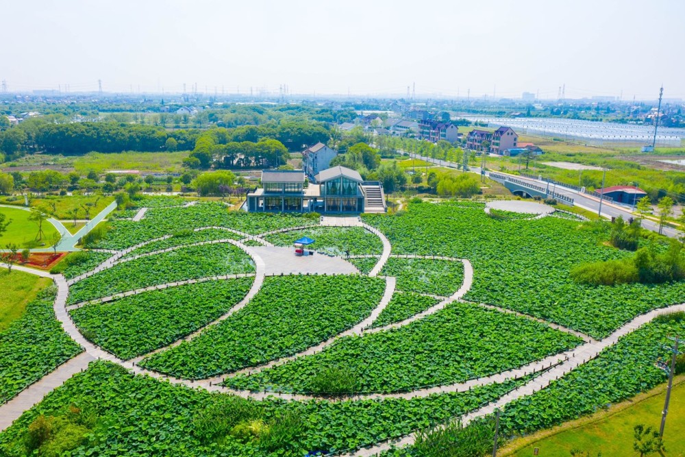 感受鄉野的悠然自得和閒暇愜意金山區漕涇郊野公園正式開園