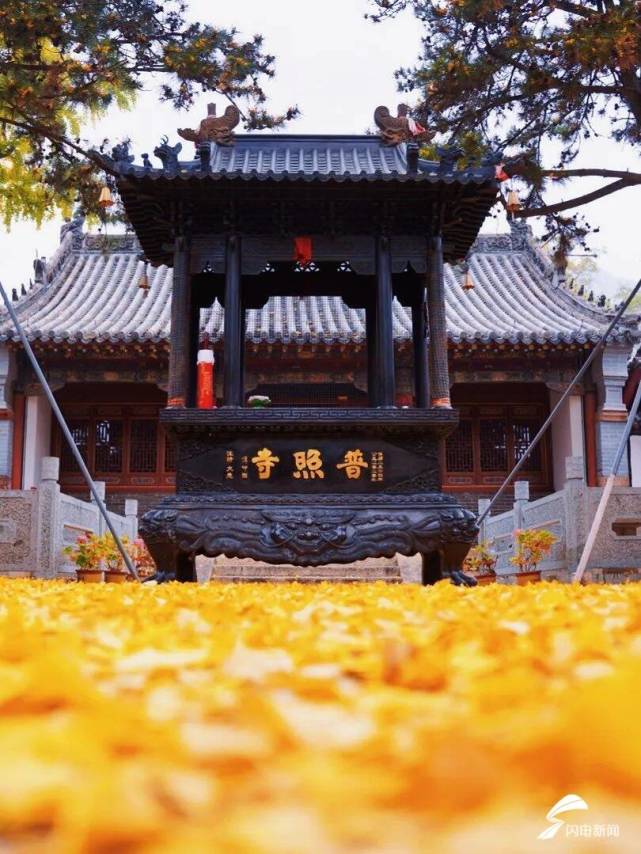 组图丨初冬泰山普照寺:落叶成毯 静谧如诗_腾讯新闻