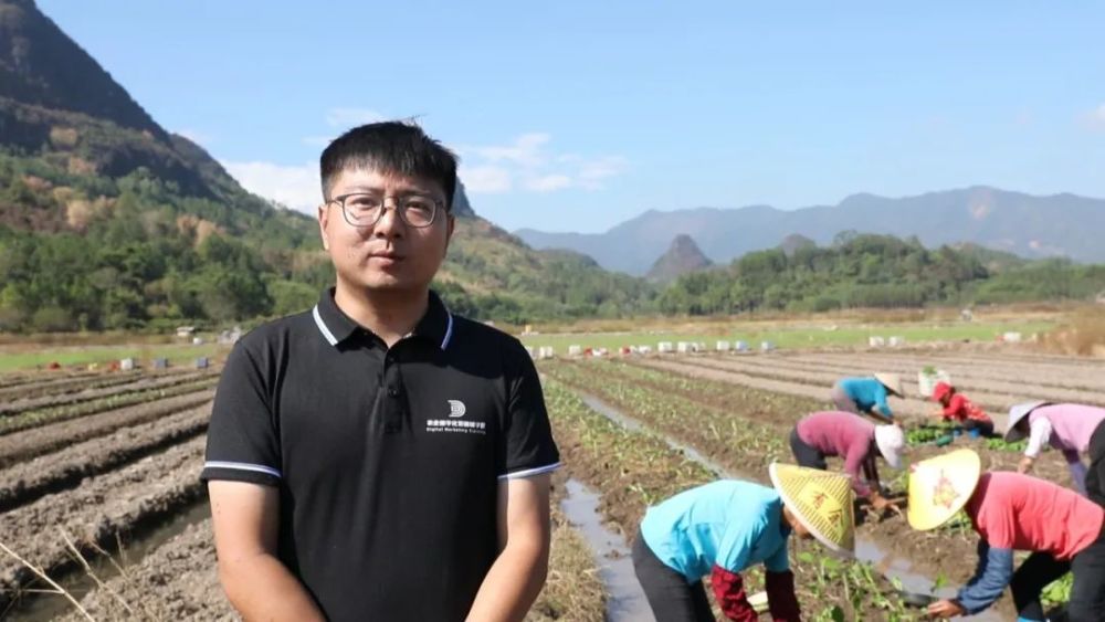 據悉,清遠市連州菜心百億產業示範基地坐落於連州市保安鎮保安村,佔地