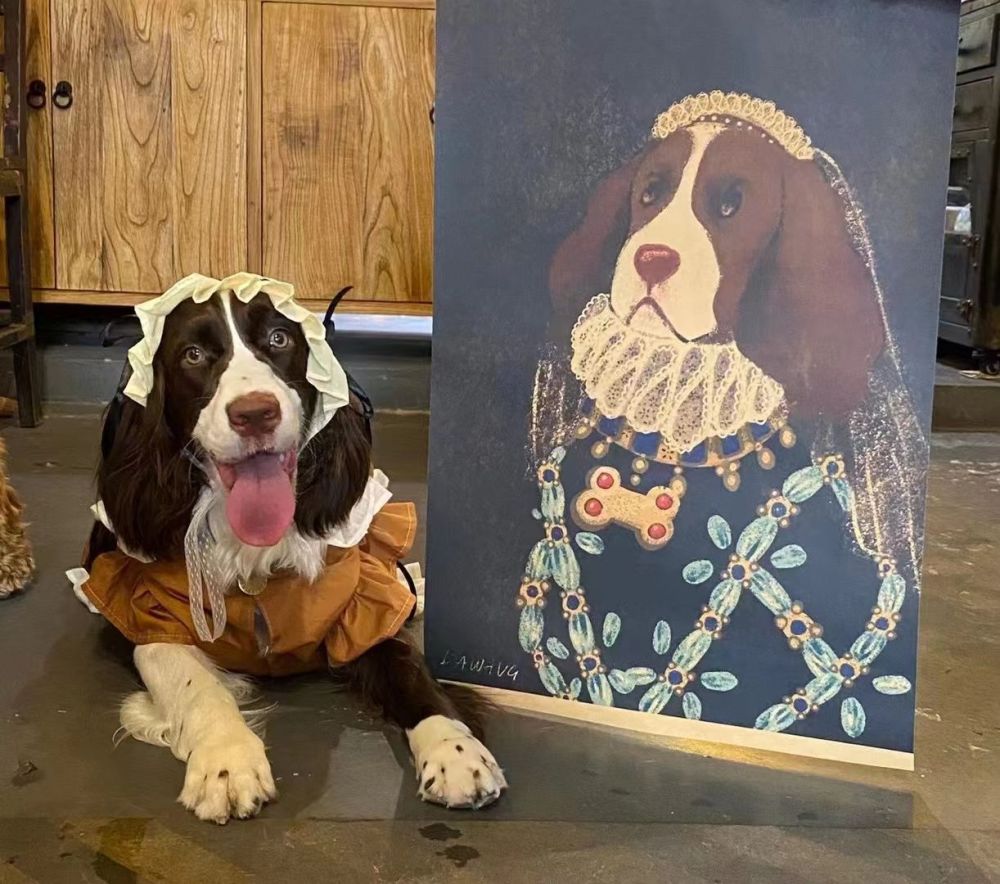 上海一女士带她的宠物狗到医院做绝育 狗狗突然死亡 死因不明 腾讯新闻