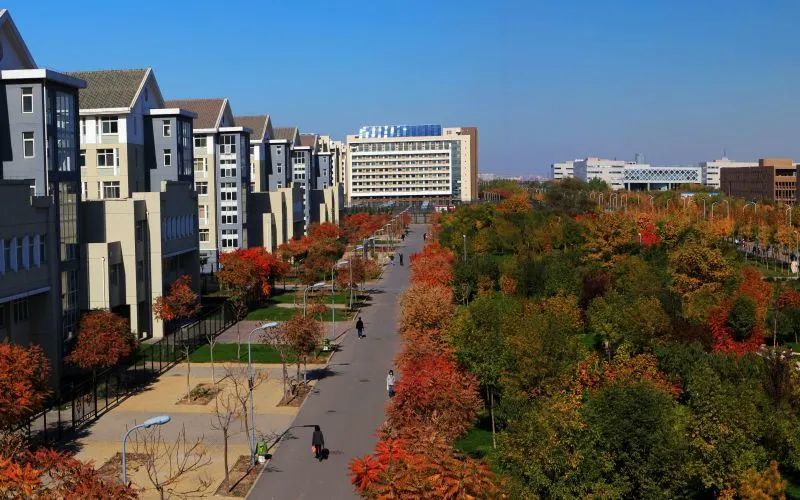 天津的好大学其实也不少，在直辖市中赶不上北京和上海。酱香饼的酱怎么熬
