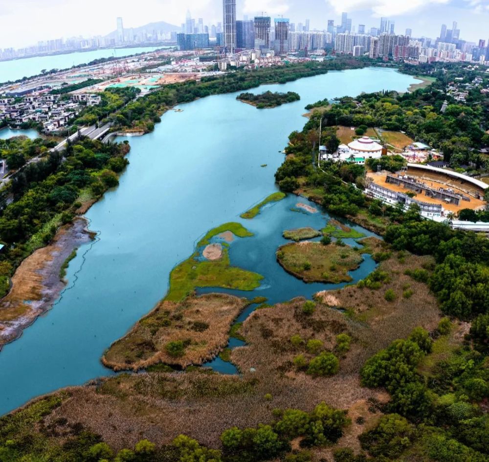 放空心灵的胜境——九祥岭湿地公园_腾讯新闻