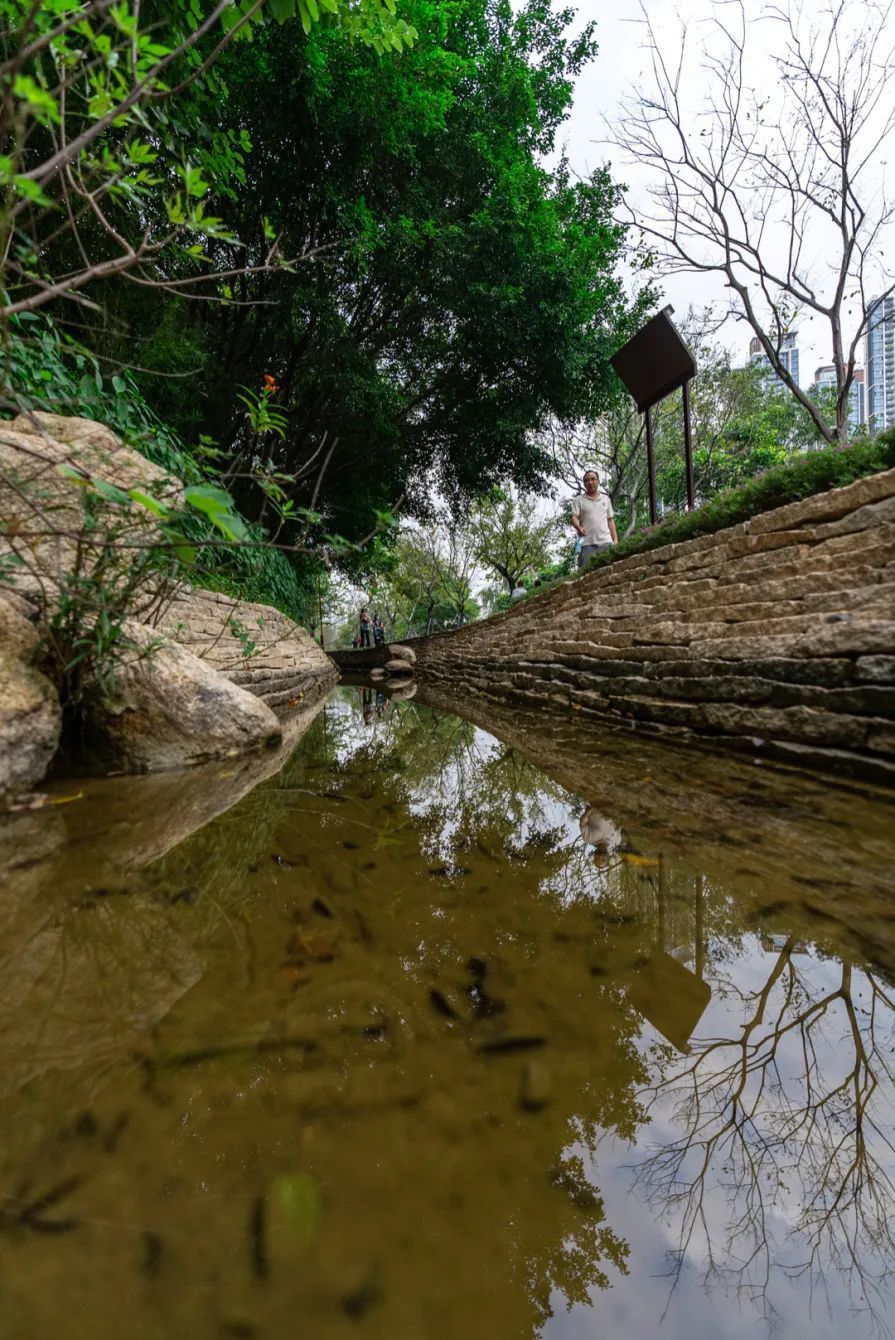 九祥岭湿地公园介绍图片