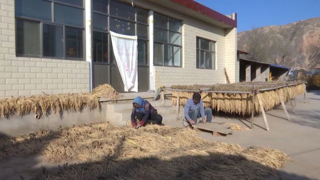 【乡村振兴谱新篇】陇西双泉镇:别样"致富路"收获富足和美_腾讯新闻