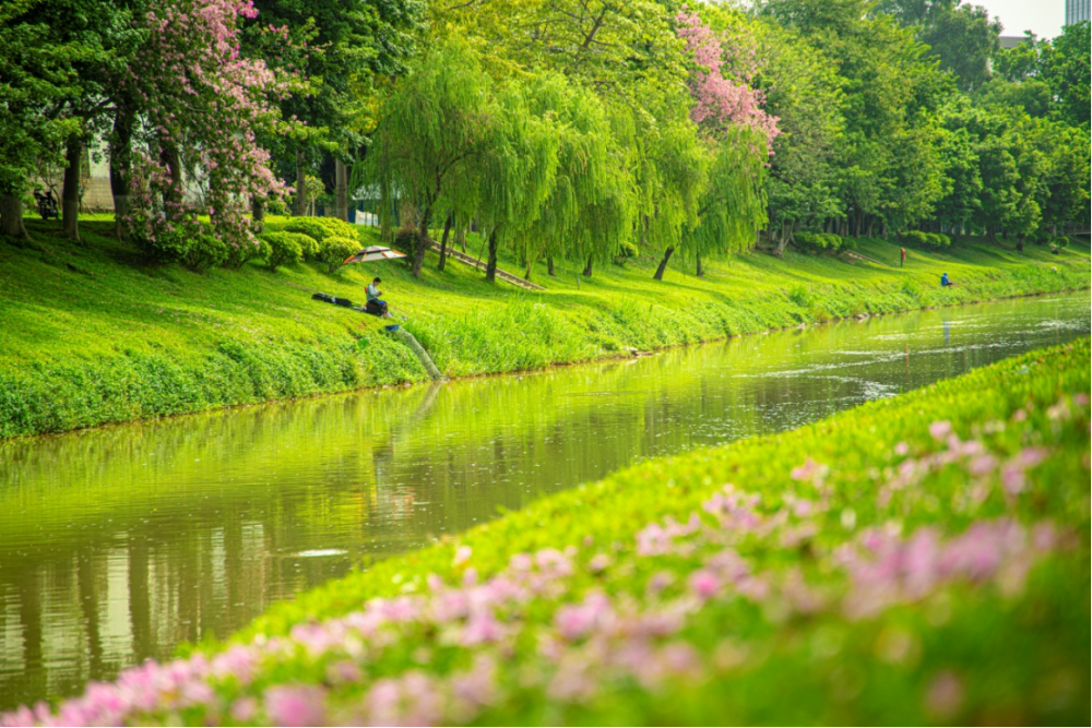 广州南岗河入选水利部首批"幸福河湖"建设项目_腾讯新闻