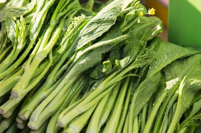 清远连州市委书记,市长诚邀全国人民品鉴连州菜心