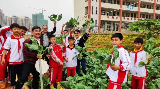 连州西城小学这节劳动课太赞啦!