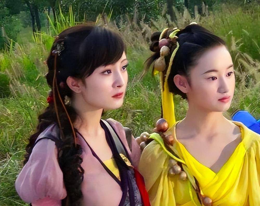 所以这一次共同出演《谢谢你医生》,自然会让观众立马想到雪见和花楹