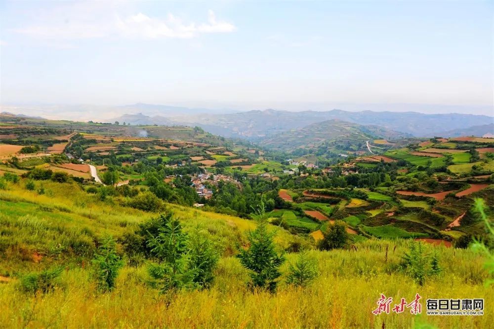田园体验农趣,秋日,市民和游客纷纷走进陇西县文峰镇桦林村避暑纳凉