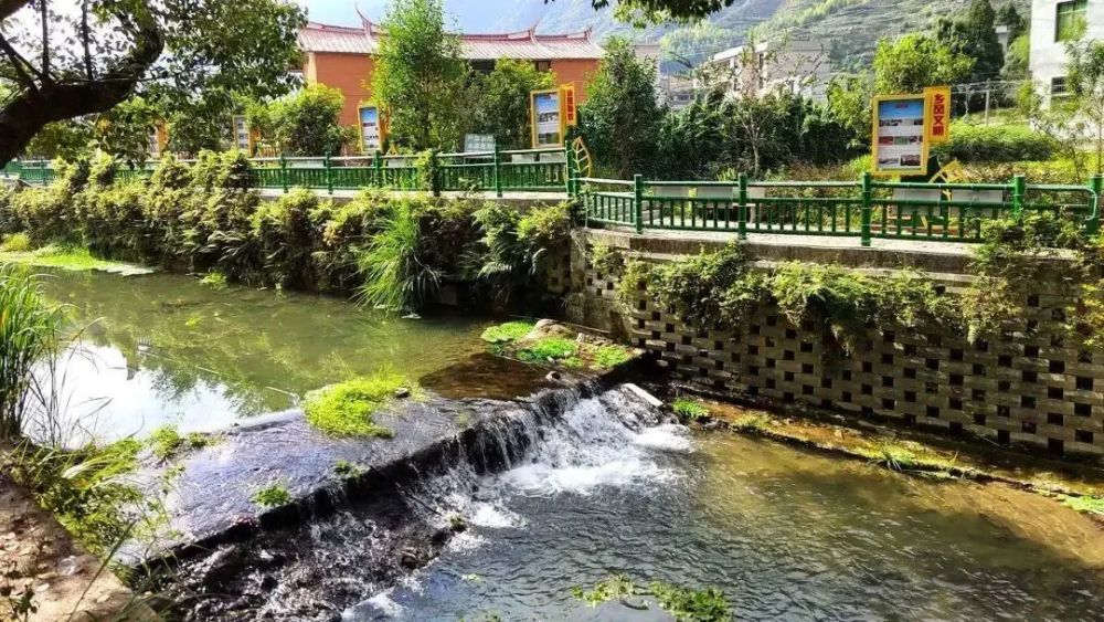 中国这十年61百村安居图丨祥华乡东坑村:山药茗村茶汇友_腾讯新闻