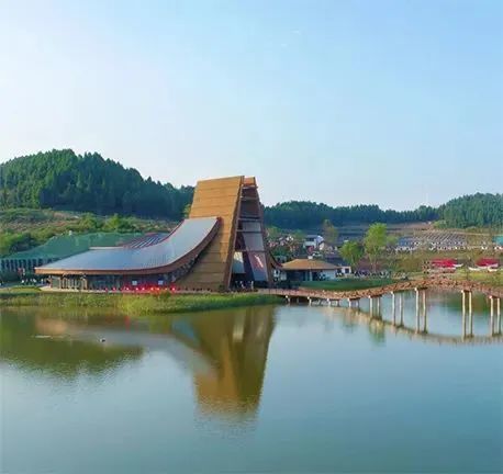 喜迎文旅会,一起领略遂宁风华～ - 遂宁圣莲岛荷花开了吗 - 实验室