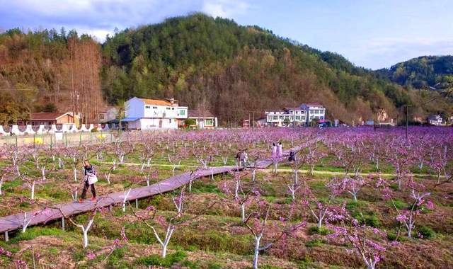汉阴县蒲溪镇苏陕协作赋动能农旅融合促振兴
