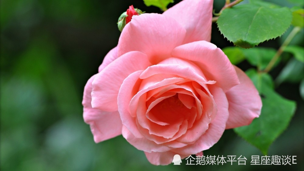 11月日 30日星座运势 如履薄冰 全力以赴 势如破竹 腾讯新闻