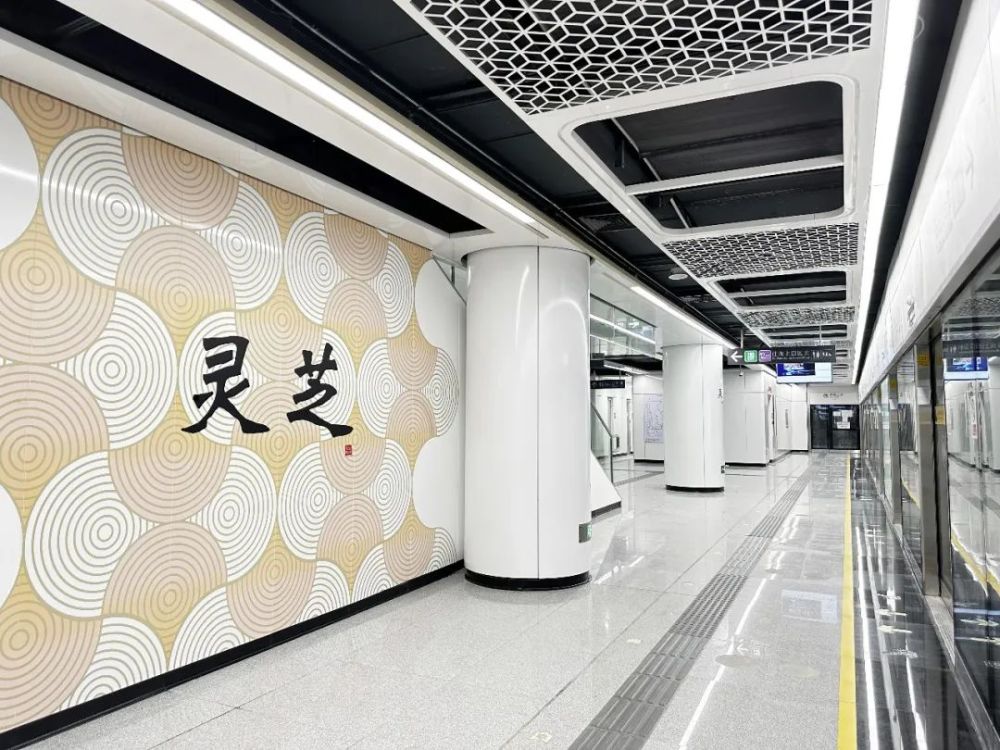 继续剧透,深圳地铁12号线新安公园站,灵芝站你喜欢吗_腾讯新闻