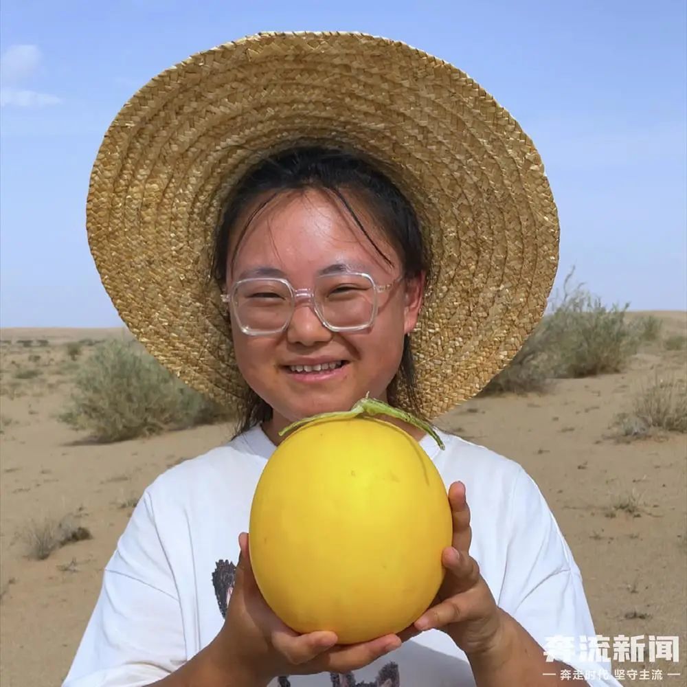 "又胖又可爱"的定西女孩,三年逆袭卖出300万斤农特产_腾讯新闻