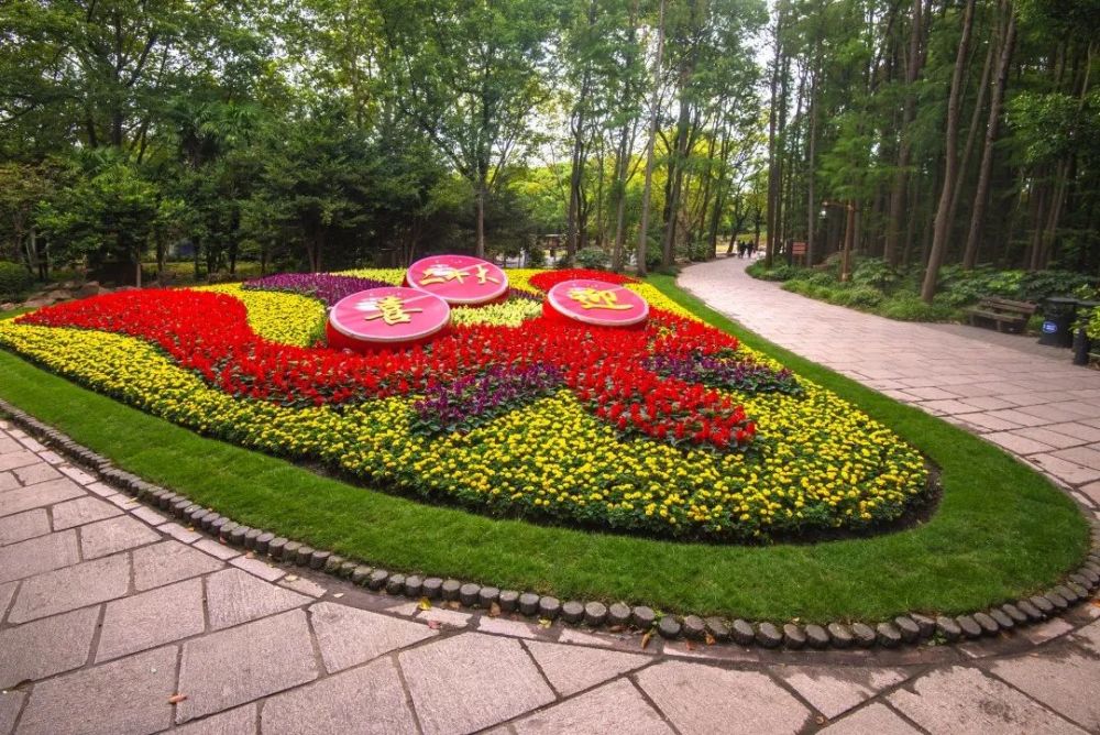 【探索】上海这些公园的花坛,花境和特色园艺获奖啦!