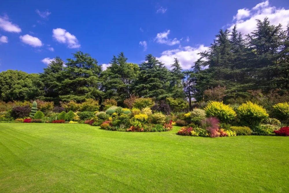 2022沪上公园园艺展示活动圆满收官来赏获奖作品美图