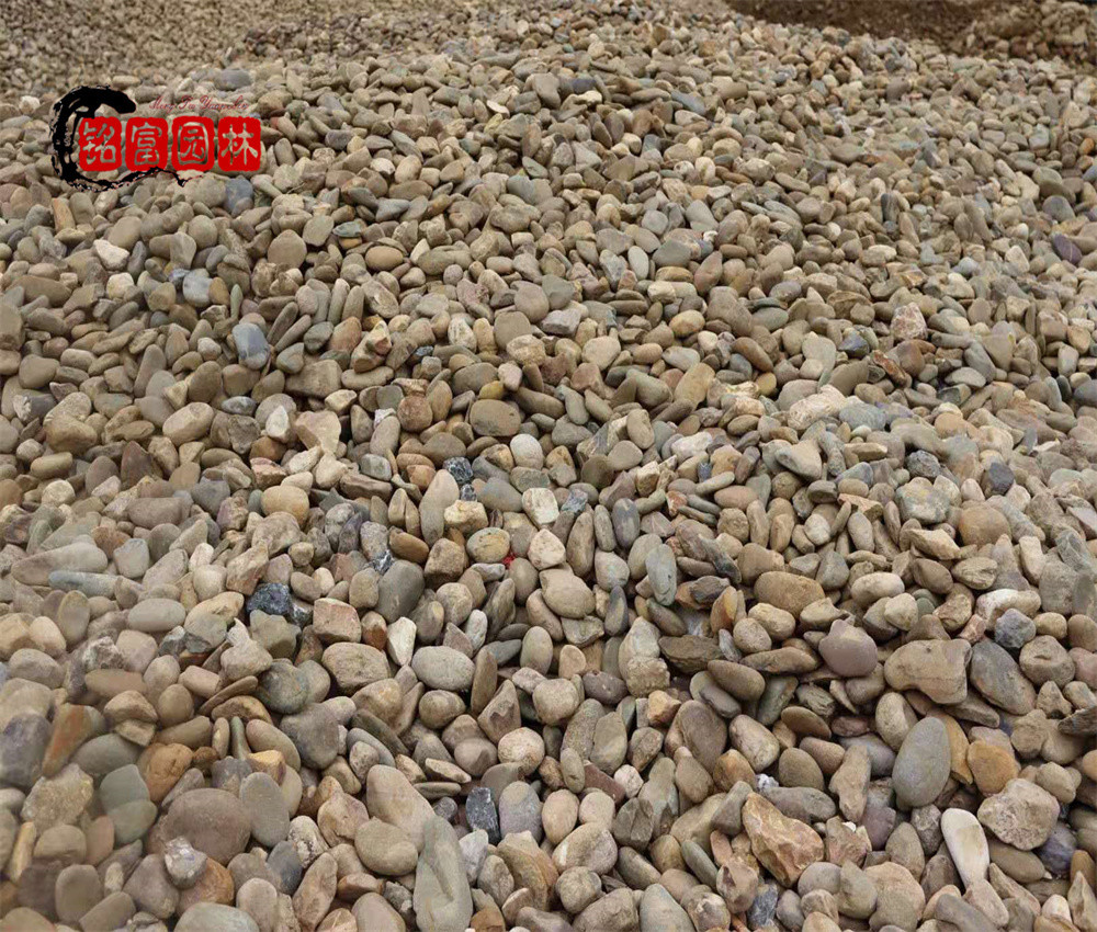 肇庆鹅卵石造景石广东园艺石庭院小路布景石砂砾石基地_腾讯新闻